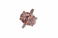 Large Pink Zirconia Stainless Steel Ring