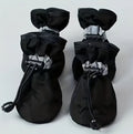 Chaussures pour chien