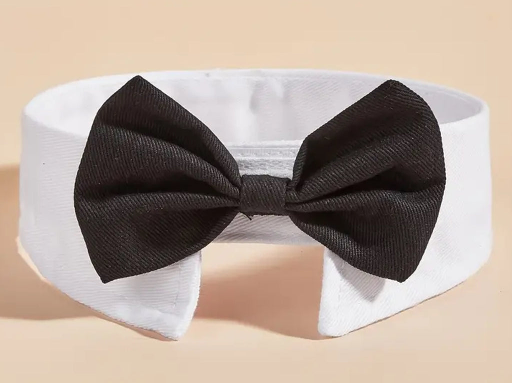 Collier nœud papillon pour animaux de compagnie