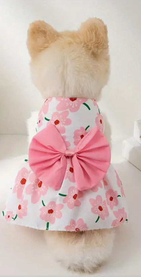 Robe pour animaux de compagnie