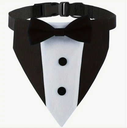 Dog or Cat Black Bow Tie with Tuxedo Collar