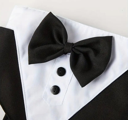 Dog Black Bow Tie with Tuxedo Harness