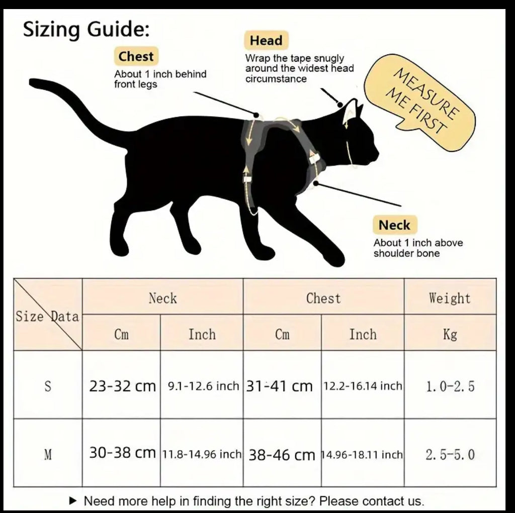 Harnais pour chien/chat avec motif ours (bleu)