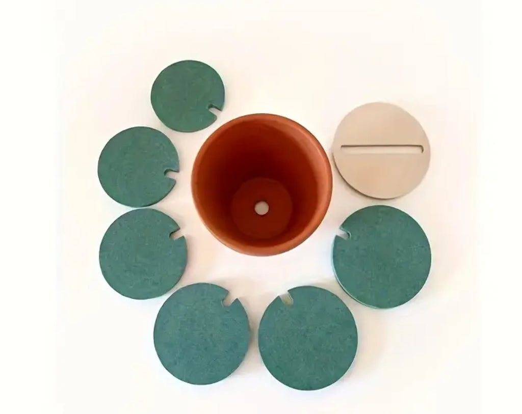 Dessous de verre Cactus vert clair (lot de 6)