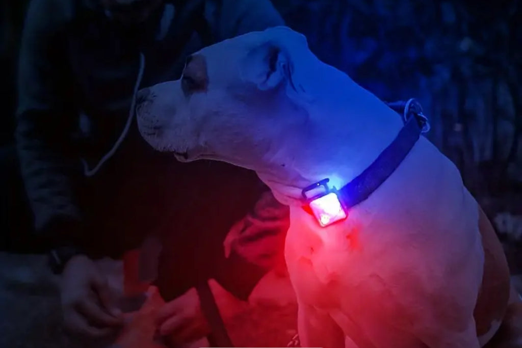 Lampe frontale portable polyvalente et décapsuleur