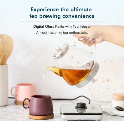 BPA-Free Glass Stainless Steel Electric Kettle