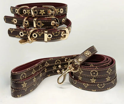 Designer Influenced collar and leash set