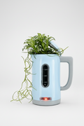 Kettle Open Terrarium – Interactive Living Artwork