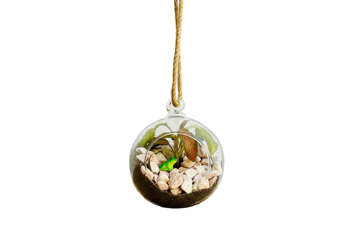 Mini Hanging Terrarium Bauble