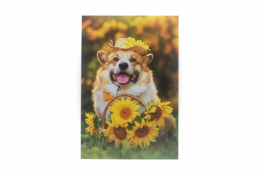 Animal greeting blank card