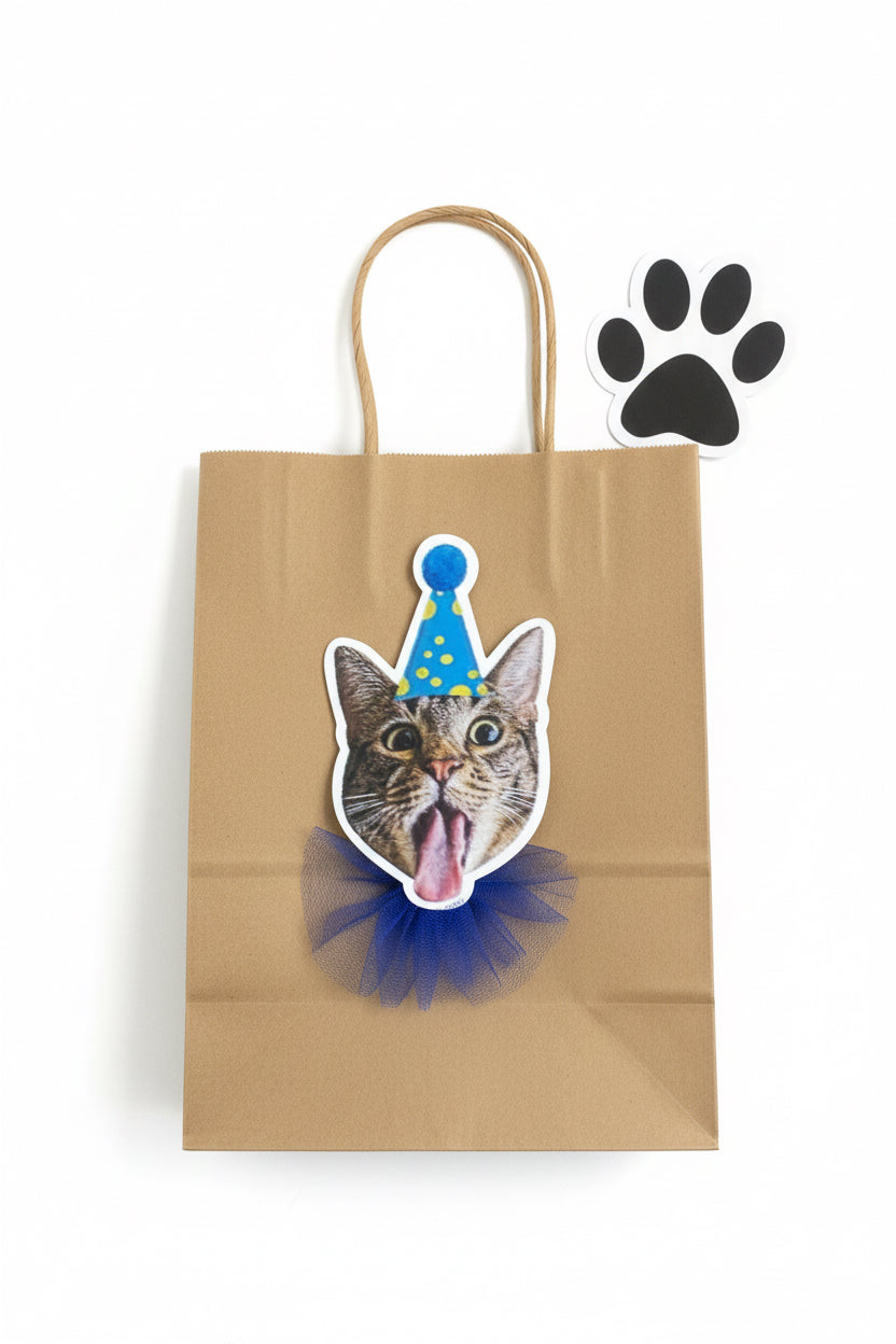 Novelty Gift Bag