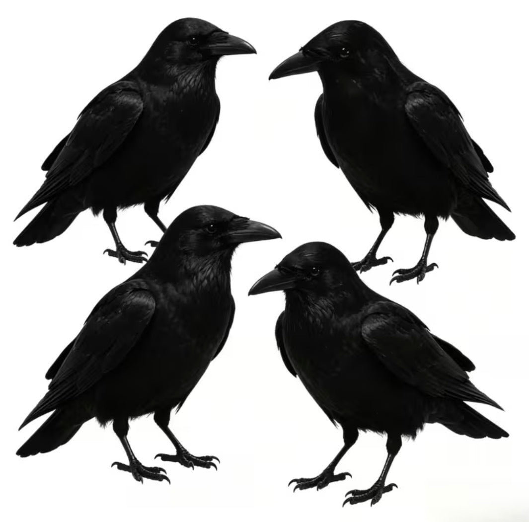 Realistic Black Raven