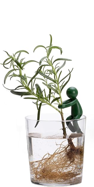 Plant stem support people