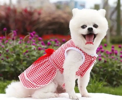 Pink Pet Dress with Bow