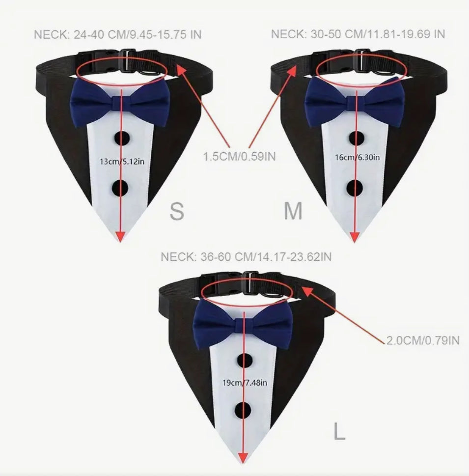 Nœud papillon noir pour chien ou chat avec col smoking