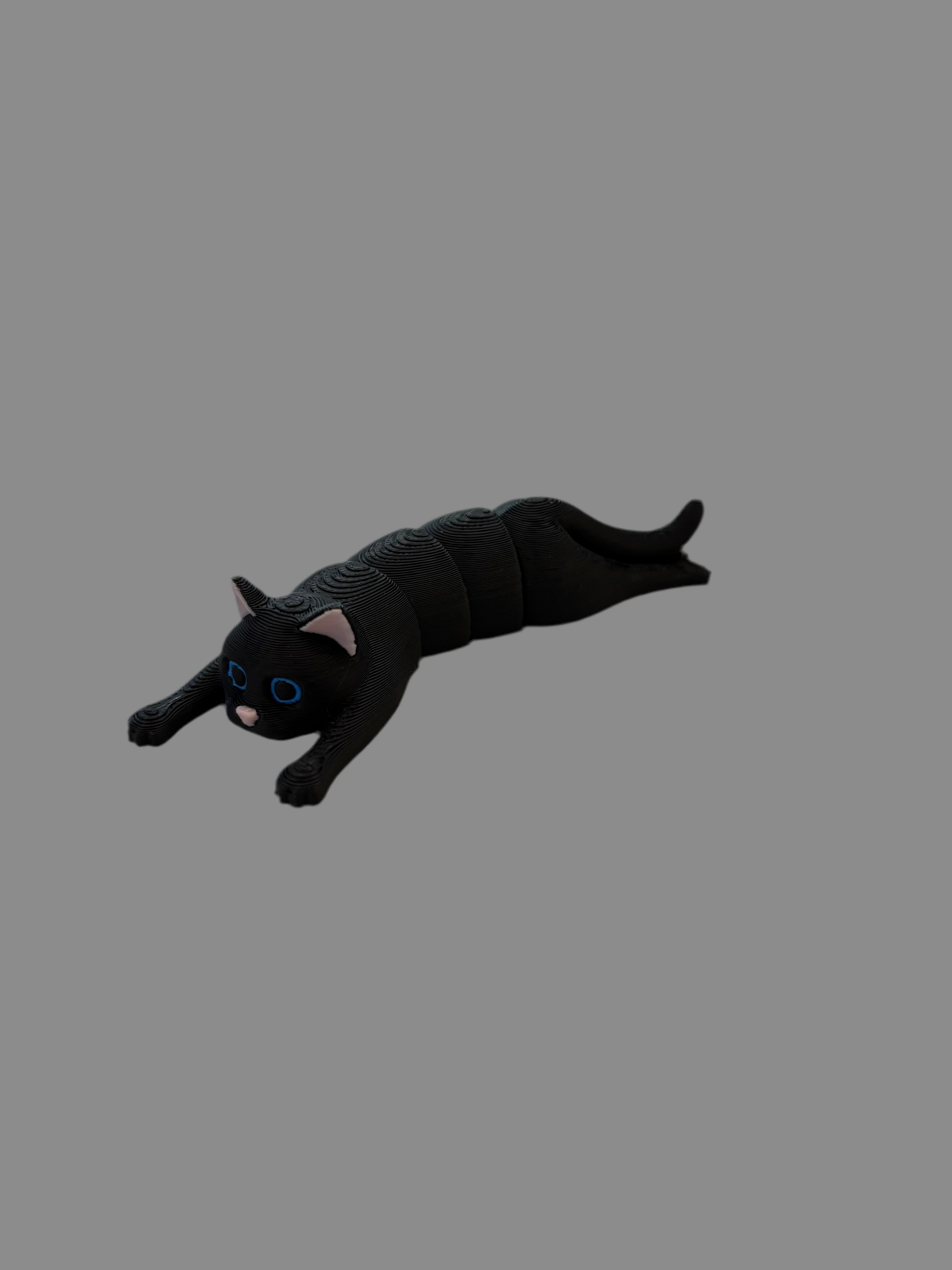 Black cat fidget toy