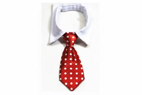 Collar and Tie