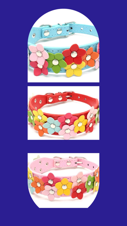 Flowers pet collar