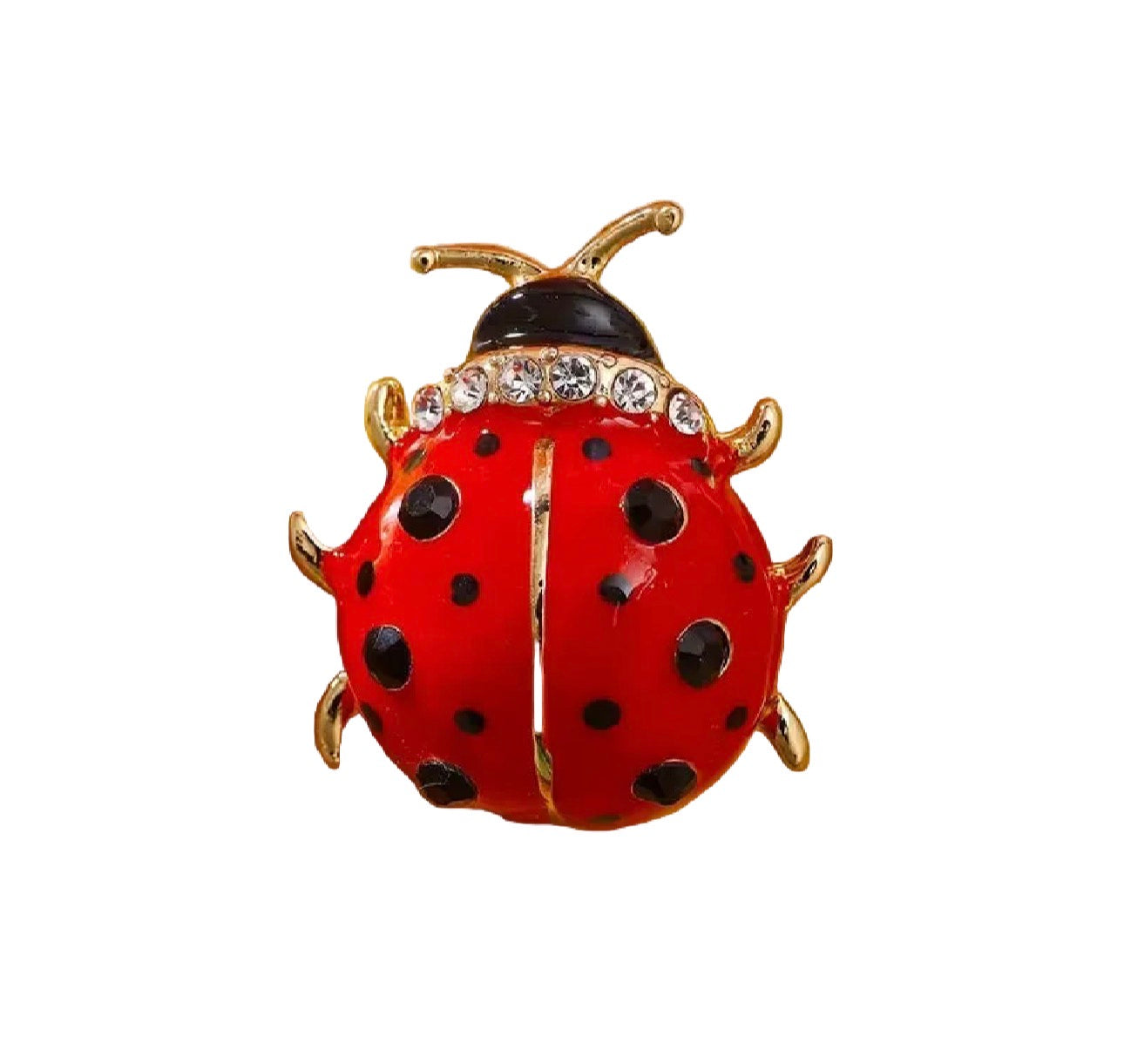 Ladybird Brooch