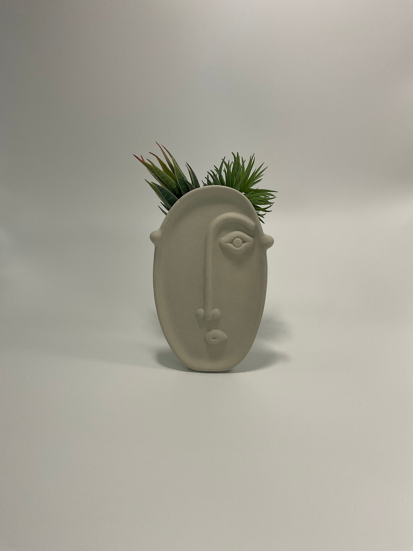 Modern Face vase