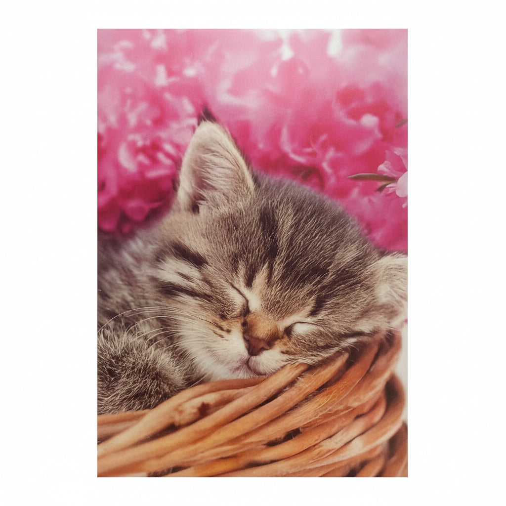 Animal greeting blank card