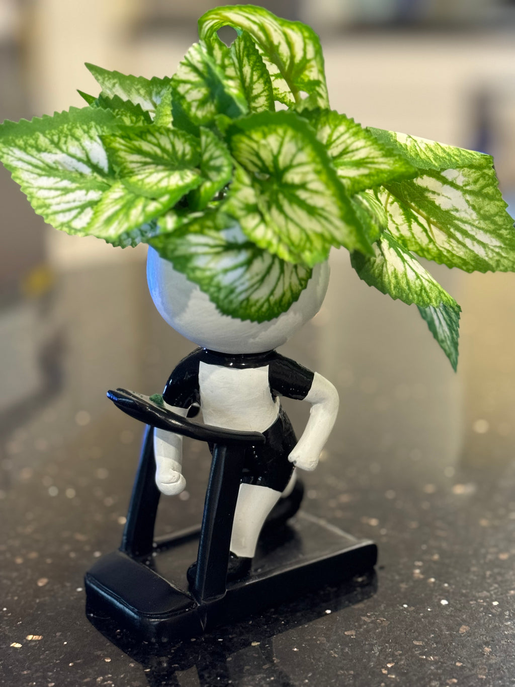 Pot de fleurs pour joggeur sur tapis roulant