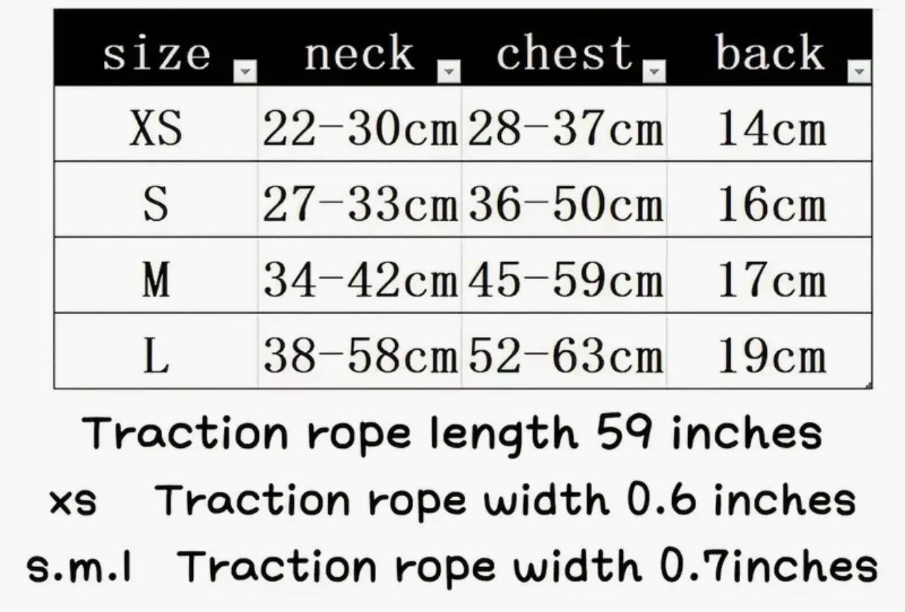 Dinosaur Harness, collar & leash set