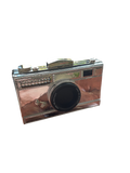 Steal the Spotlight – Camera Handbag (Silver)