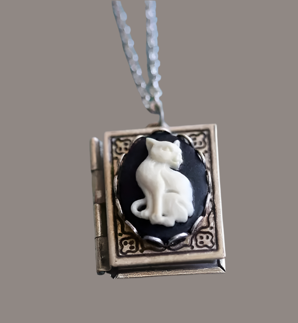 Médaillon livre chat (plaqué or)