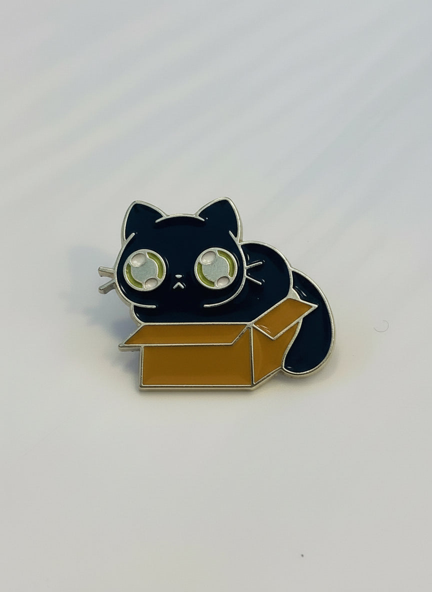 Black Cat in Box Pin
