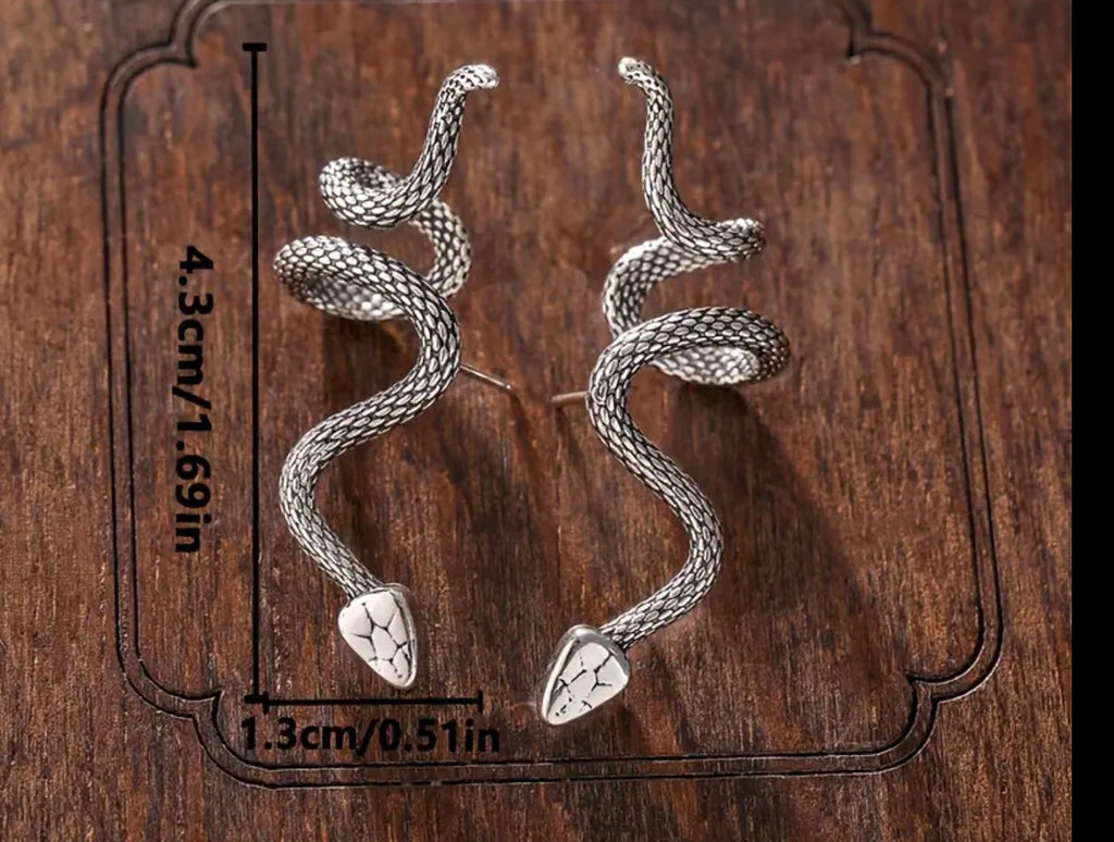 Boucles d'oreilles serpent en argent