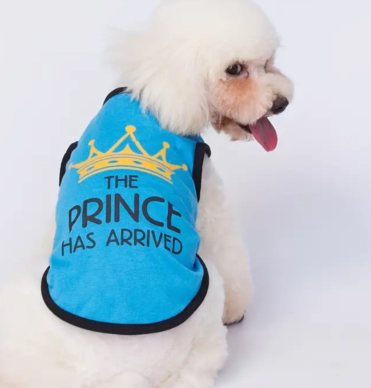 Prince Has Arrived T-Shirt