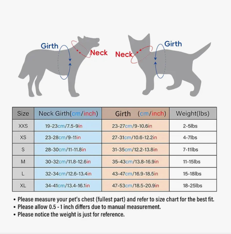 Harnais pour chien Angel Wings