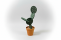 Dark Green Cactus Coasters (set of 6)