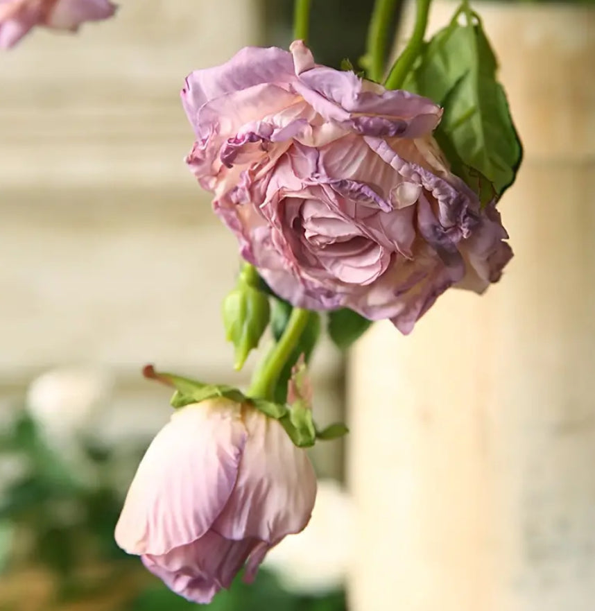 Bouquet de roses lavande