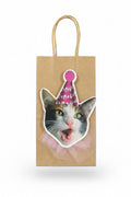 Novelty Gift Bag 22x12cm