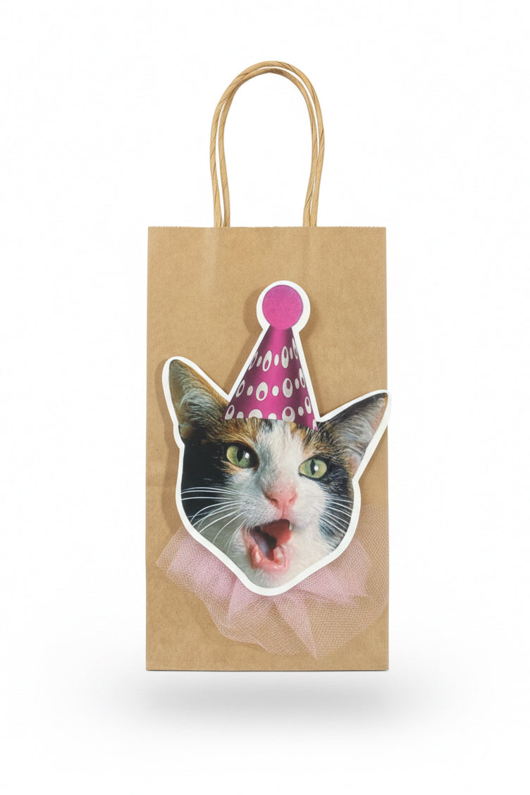 Novelty Gift Bag 22x12cm