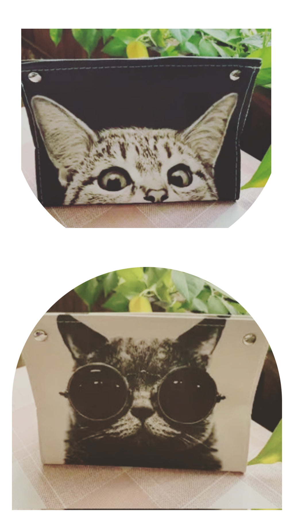 Porte-mouchoirs pour chat (2 choix)