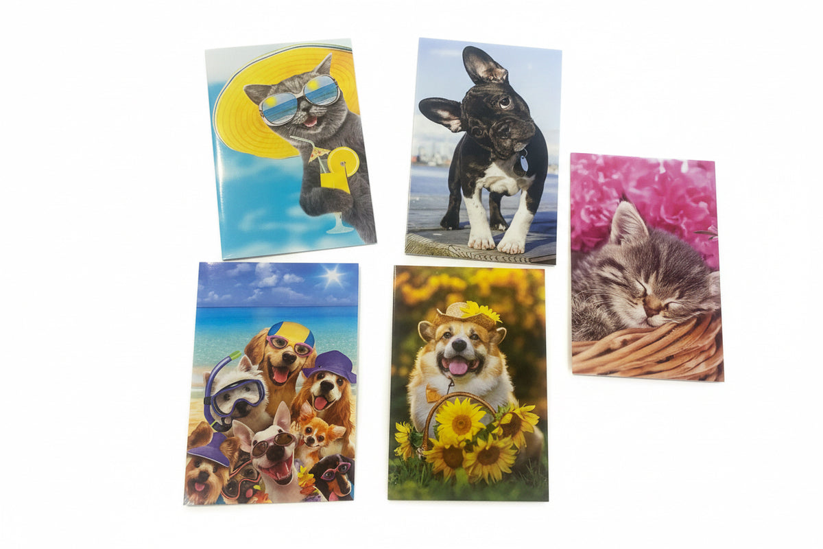 Animal greeting blank card