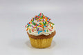 Vegan Gluten-Free Vanilla Cupcake ( GF, DF, EF, V)