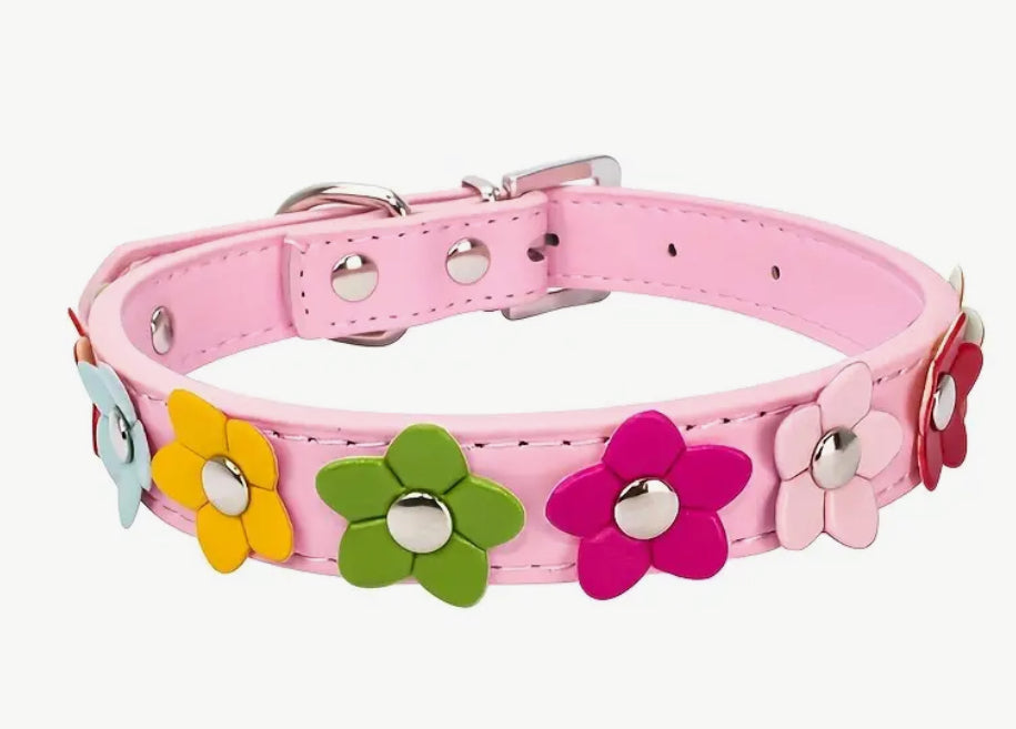 Single row of flowers pet collar