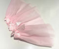 Dog Tutu skirt