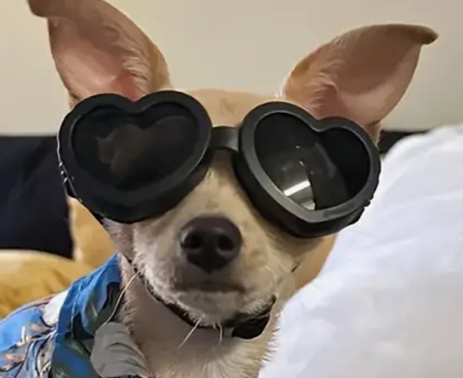 Lunettes de soleil pour chien en forme de cœur
