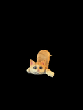 Chat tigré orange joueur