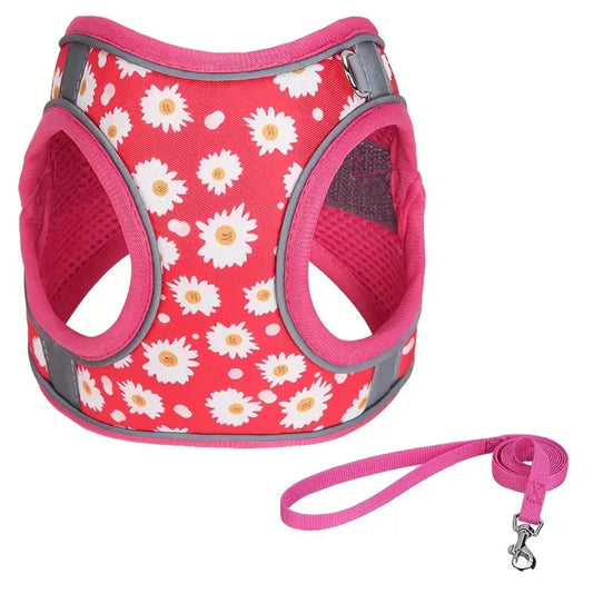 Daisy Dog Harness & leash set (pink)