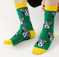 Chaussettes pour chien Pitbull