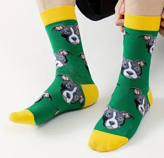 Pitbull dog socks