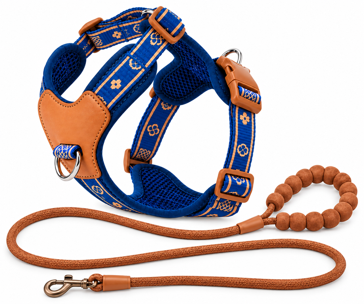 Blue Padded Dog Harness & Leash Set – Medium