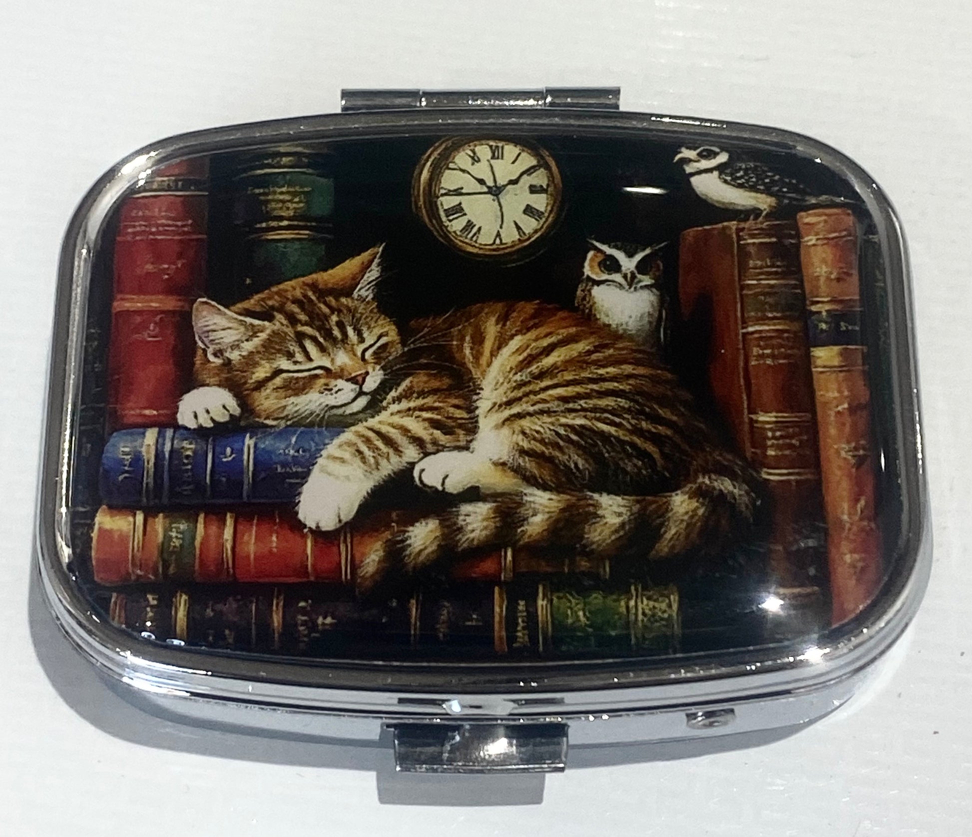 Sleeping Cat in Library Pill Box