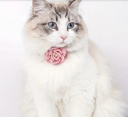 Pink flower pet collar